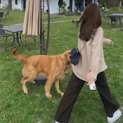 苏姗娜的故事
